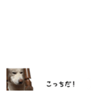 秋田犬シリウス2（個別スタンプ：23）