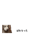 秋田犬シリウス2（個別スタンプ：24）