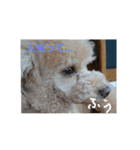 ルナちゃんの毎日②（個別スタンプ：5）