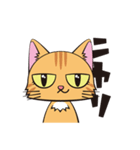目つきの悪い茶トラ猫（個別スタンプ：1）