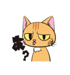 目つきの悪い茶トラ猫（個別スタンプ：9）