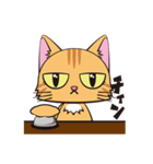 目つきの悪い茶トラ猫（個別スタンプ：31）