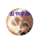 蟻の日常（個別スタンプ：4）