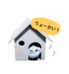 じゃんがりあんのとうふ（個別スタンプ：13）