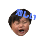 楓大と飼い猫（個別スタンプ：4）