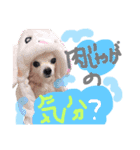 ほーじゃんぐ2（個別スタンプ：1）