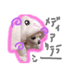 ほーじゃんぐ2（個別スタンプ：7）