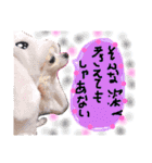ほーじゃんぐ2（個別スタンプ：14）