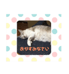プリンとティティ子（個別スタンプ：3）