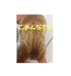 プリンとティティ子（個別スタンプ：6）