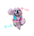 アメコカFuuta ①（個別スタンプ：11）