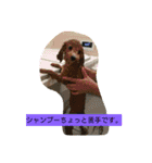 Flower 2です（個別スタンプ：2）