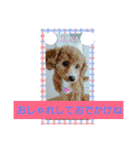 Flower 2です（個別スタンプ：4）