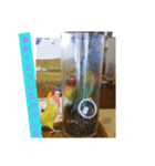 Flower 2です（個別スタンプ：5）