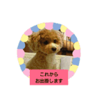 Flower 2です（個別スタンプ：6）