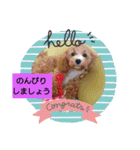 Flower 2です（個別スタンプ：9）