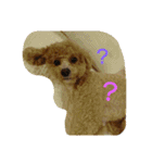 Flower 2です（個別スタンプ：11）