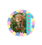 Flower 2です（個別スタンプ：13）