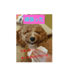 Flower 2です（個別スタンプ：15）