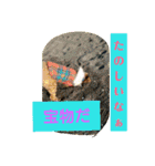 Flower 2です（個別スタンプ：19）