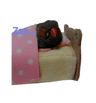 チキのはんこ（個別スタンプ：1）