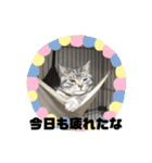 ネコルくんの日常2（個別スタンプ：3）