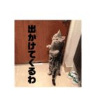 ネコルくんの日常2（個別スタンプ：6）
