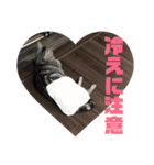 ネコルくんの日常2（個別スタンプ：10）