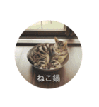 ネコルくんの日常2（個別スタンプ：21）