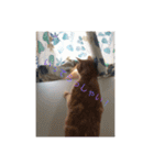 エイミーと愉快な仲間たち（個別スタンプ：7）