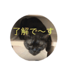 エイミーと愉快な仲間たち（個別スタンプ：8）