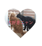 エイミーと愉快な仲間たち（個別スタンプ：9）