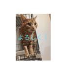 エイミーと愉快な仲間たち（個別スタンプ：12）