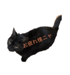 エイミーと愉快な仲間たち（個別スタンプ：13）
