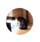エイミーと愉快な仲間たち（個別スタンプ：19）