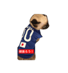 まっくろくろくろすけ（個別スタンプ：2）