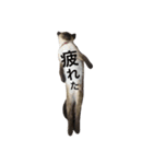 まっくろくろくろすけ（個別スタンプ：5）