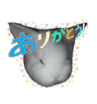 しあとこまめのスタンプ（個別スタンプ：8）