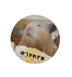 タップと一緒（個別スタンプ：5）