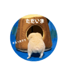 タップと一緒（個別スタンプ：6）