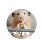 タップと一緒（個別スタンプ：8）