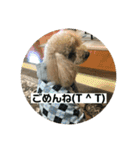 まろんすたんぷ5（個別スタンプ：3）