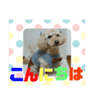 まろんすたんぷ5（個別スタンプ：6）