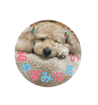 まろんすたんぷ5（個別スタンプ：8）
