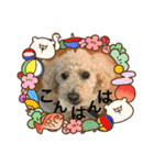 まろんすたんぷ5（個別スタンプ：10）