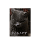 マサムネコ（個別スタンプ：8）