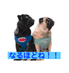 Pug ジン太とゲン太の日常3（個別スタンプ：2）