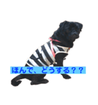 Pug ジン太とゲン太の日常3（個別スタンプ：3）