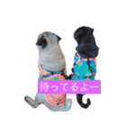 Pug ジン太とゲン太の日常3（個別スタンプ：9）
