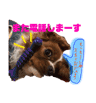 王子とまう(キャバリア)のスタンプ（個別スタンプ：32）